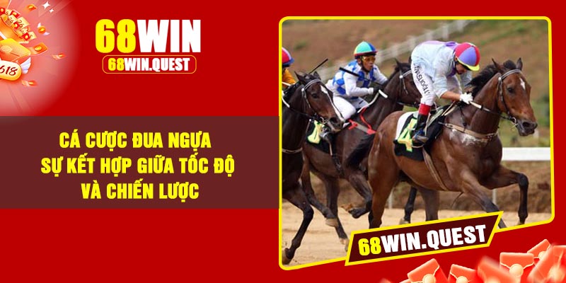 Cá cược đua ngựa – Sự kết hợp giữa tốc độ và chiến lược