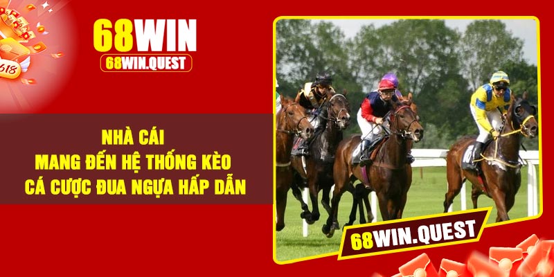 Nhà cái mang đến hệ thống kèo cá cược đua ngựa hấp dẫn